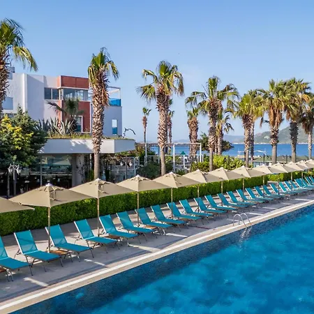 Azure By Yelken トゥルグトレイス